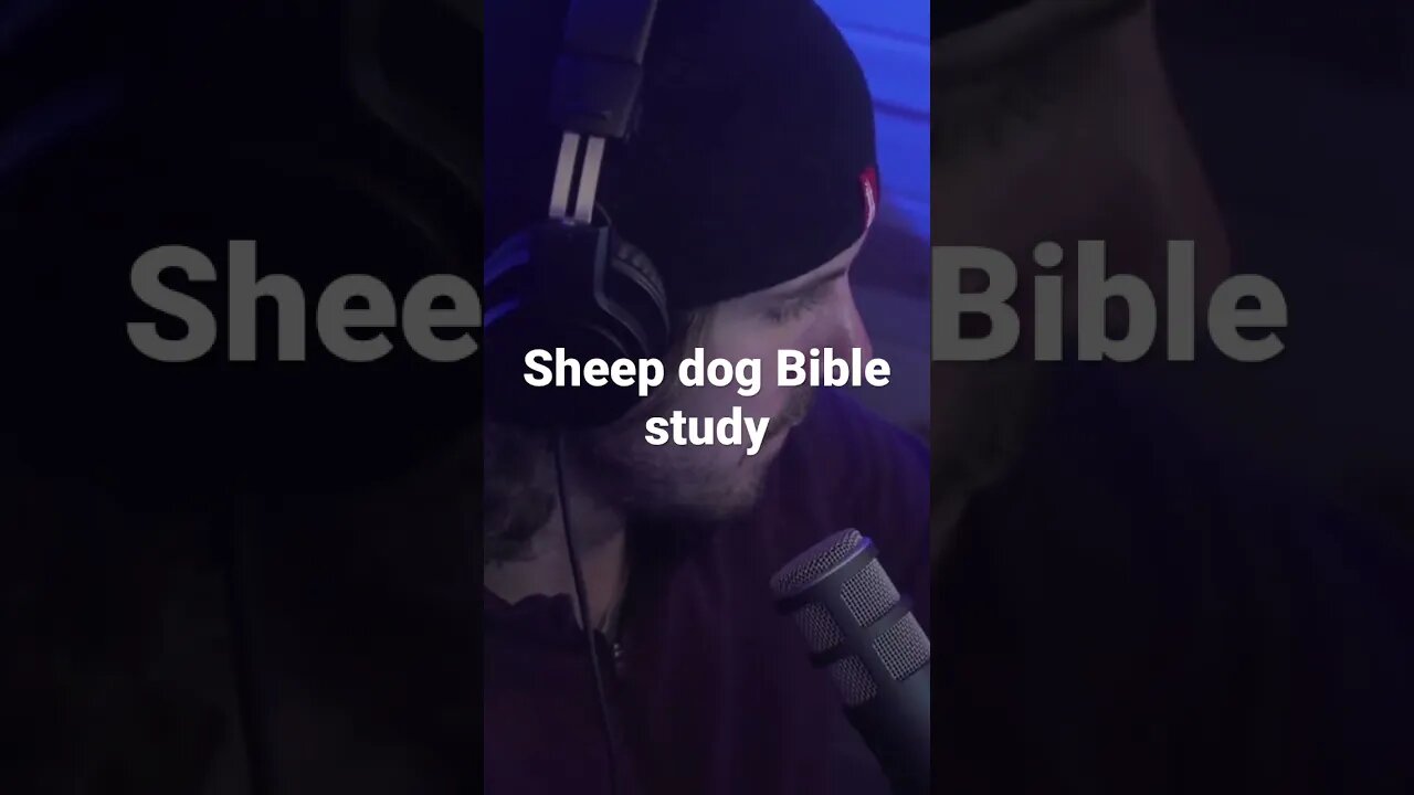 Check out Sheep Dog Bible study every Sunday #biblestudy #john4 #unityinthechurch #jesuschrist .