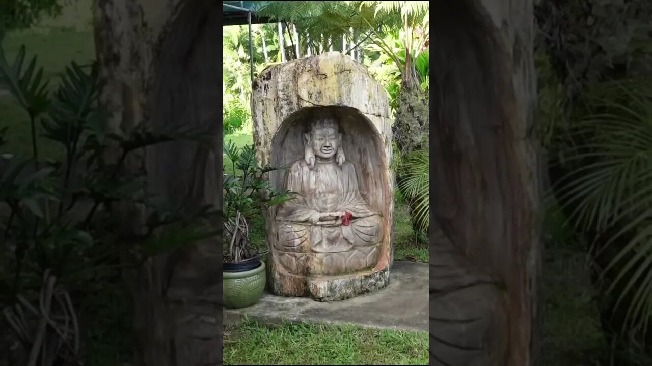 @theinnatkulaniapiafalls-lu5240 beautiful… #hawaii #hawaiivlog #bigislandhawaii #hawaiivacation