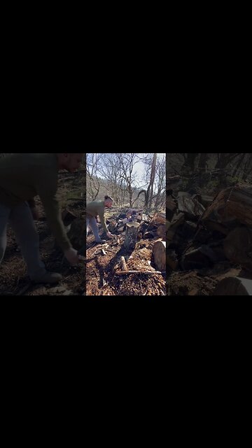 Just for Fun 🪓 🪵 #shorts #tips #75hard