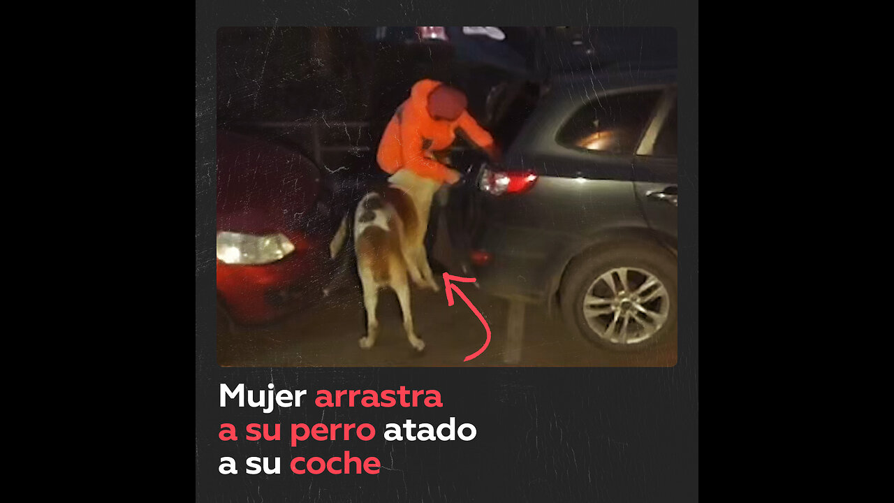 Mujer ata su perro al coche y lo arrastra por la carretera