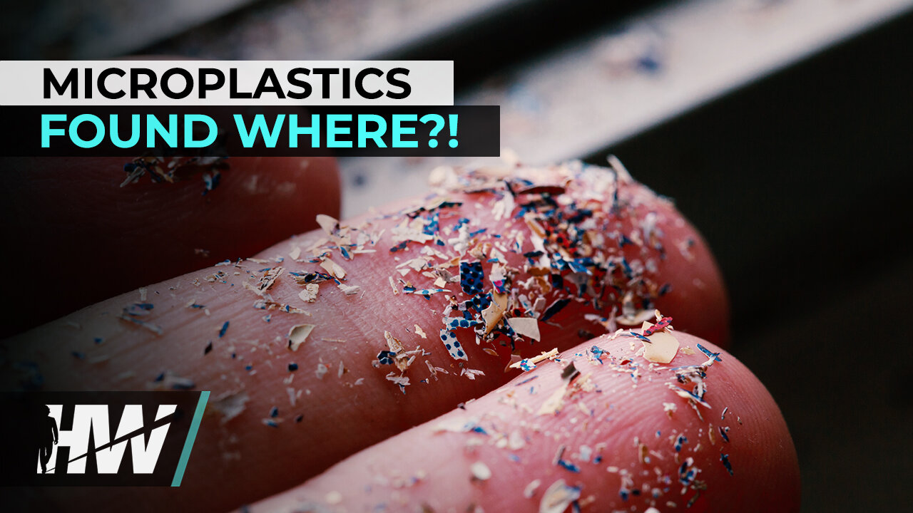 MICROPLASTICS FOUND WHERE?!