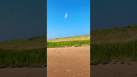 Adventuring on an Island 🏝️ #island #islandlife