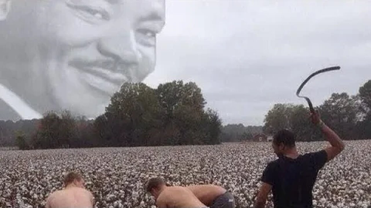[LIVE] combating virtual racism