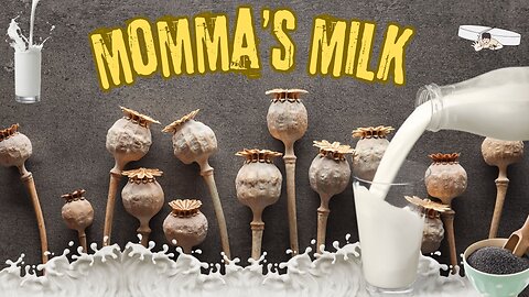 Momma's Milk