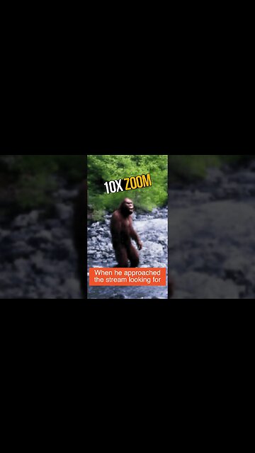 Fisherman Sees THIS #shorts