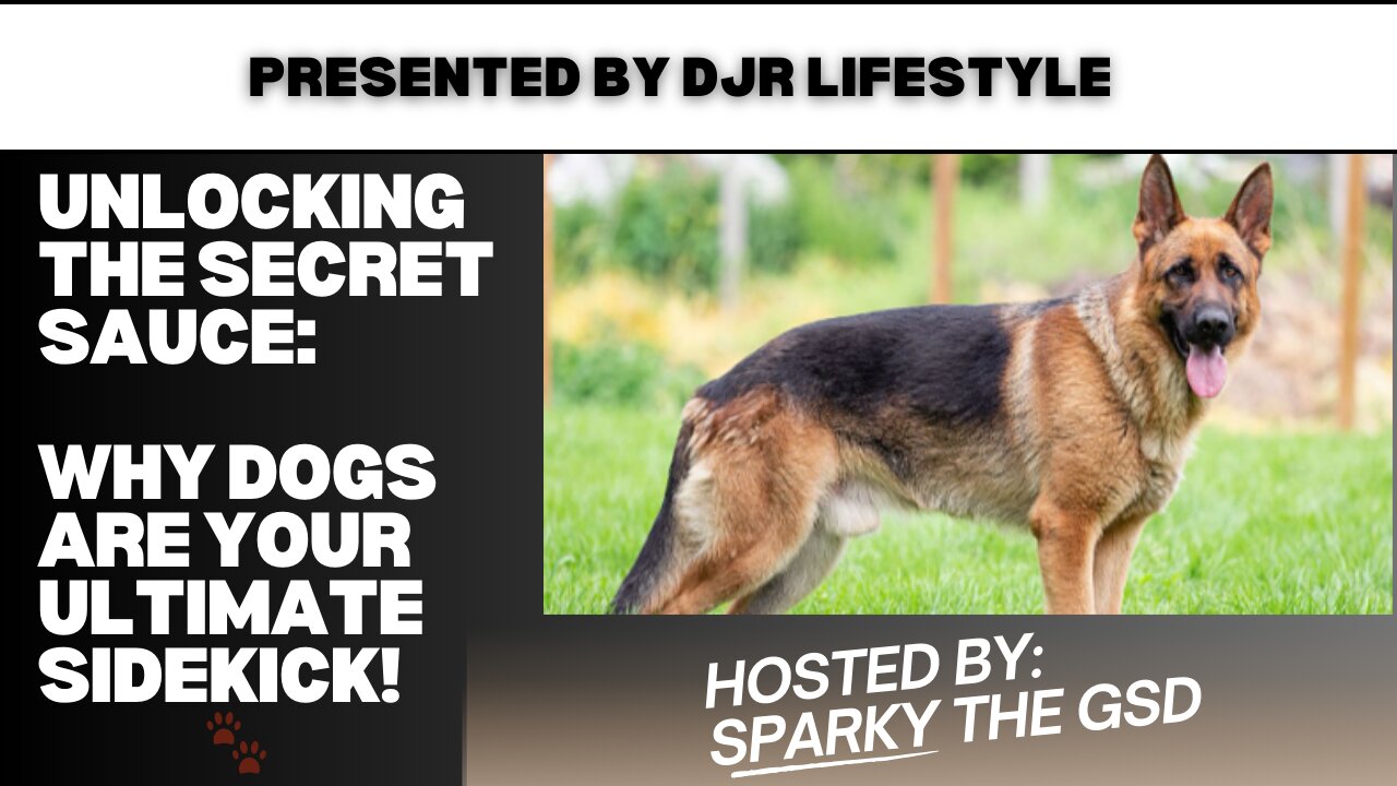 Unlocking the Secret Sauce: Why Dogs Are Your Ultimate Sidekick! 🐾