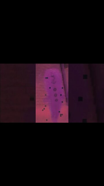 Have you seen this monster in your dream??😴😰😳 strange phenomenon