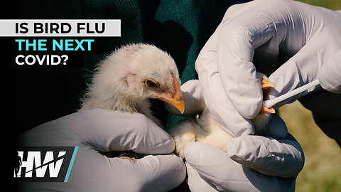 IS BIRD FLU THE NEXT COVID?