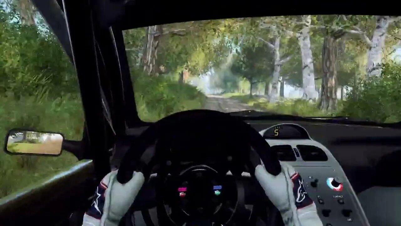 DiRT Rally 2 - 206 Trailblazes Through Czarny Las