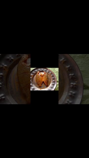 🤣🤣Funny Funny🤣🤣🤣@BENGALCOOKING #shorts #youtubeshorts #viral #viralshorts #trending #trendingshorts