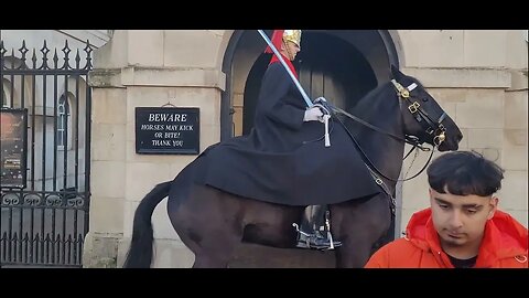 Horse belived it was time to go #horseguardsparade