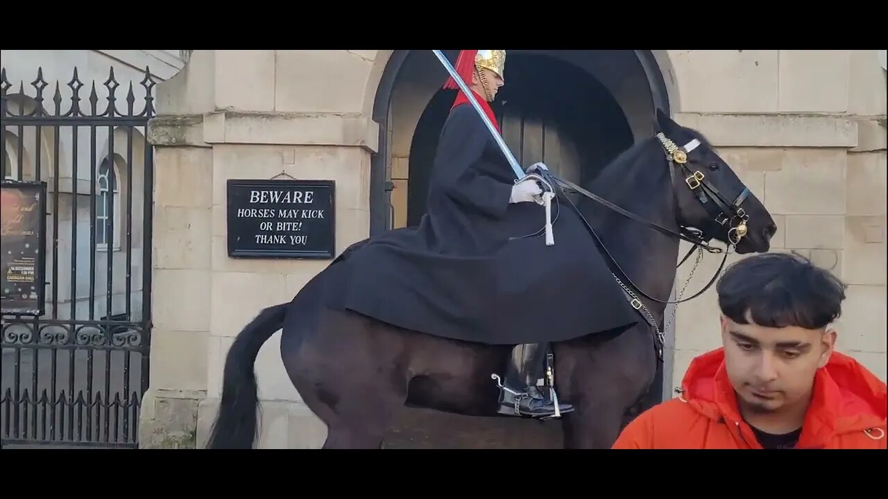 Horse belived it was time to go #horseguardsparade