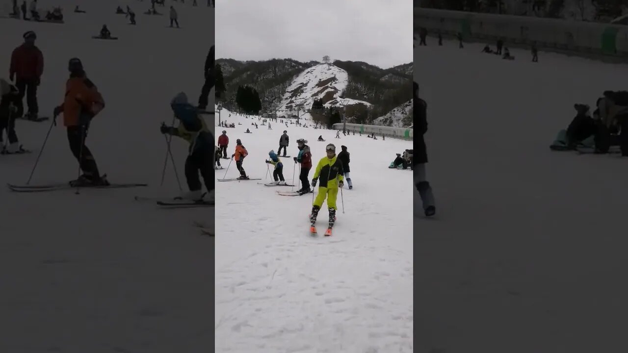 "Gaijins" skiing on Japanese Snow #shorts #snow #japan