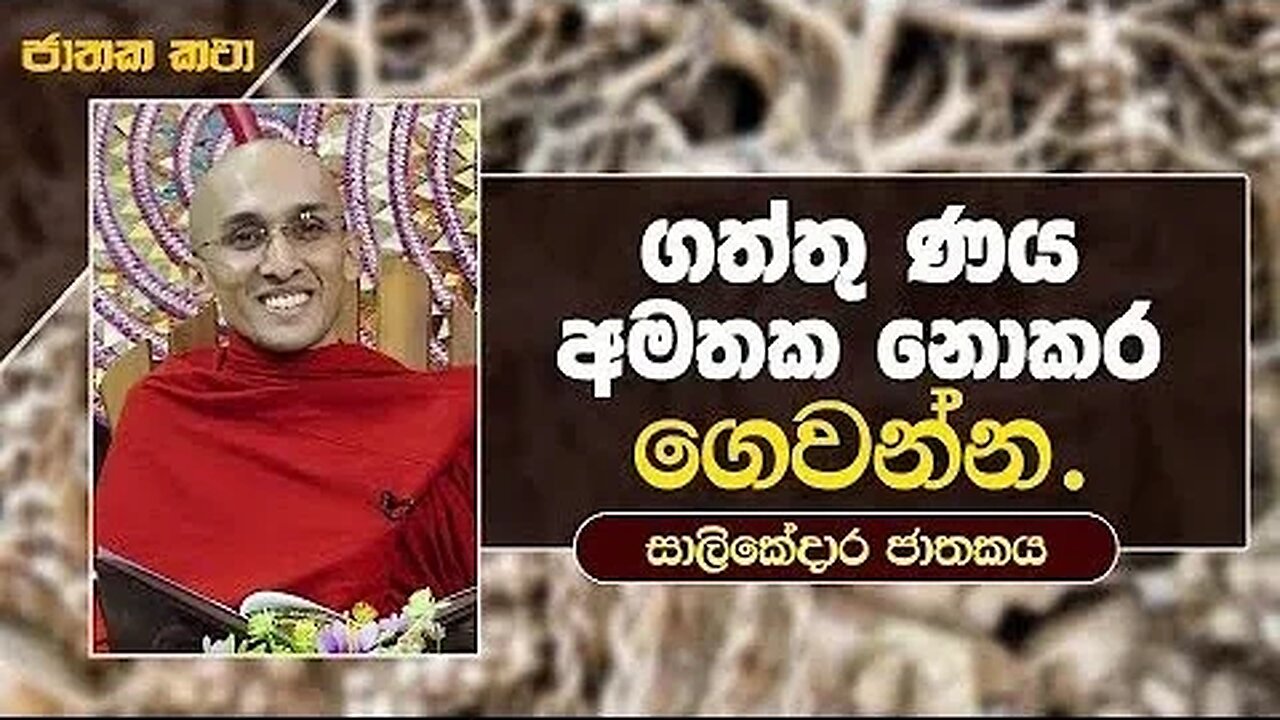 07 ගත්තු ණය අමතක නොකර ගෙවන්න සාලිකේදාර ජාතකය ජාතක කතා Jathaka Katha