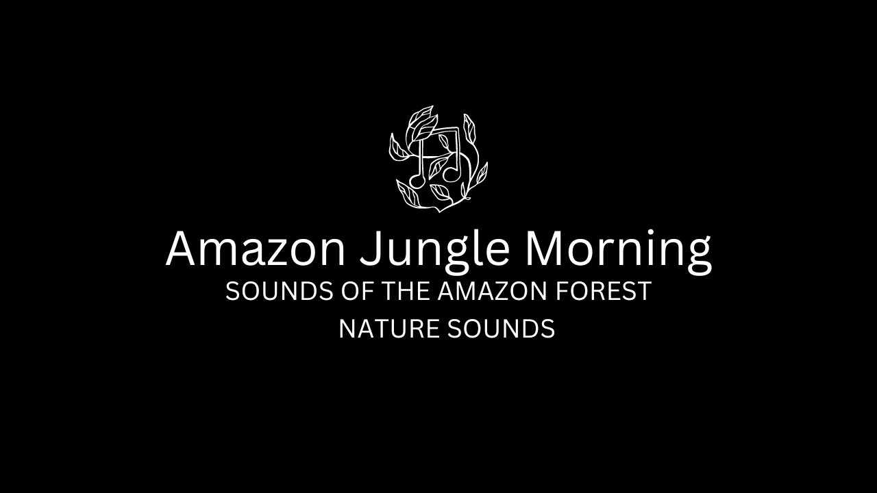 AMAZON JUNGLE FOREST BLACK SCREEN