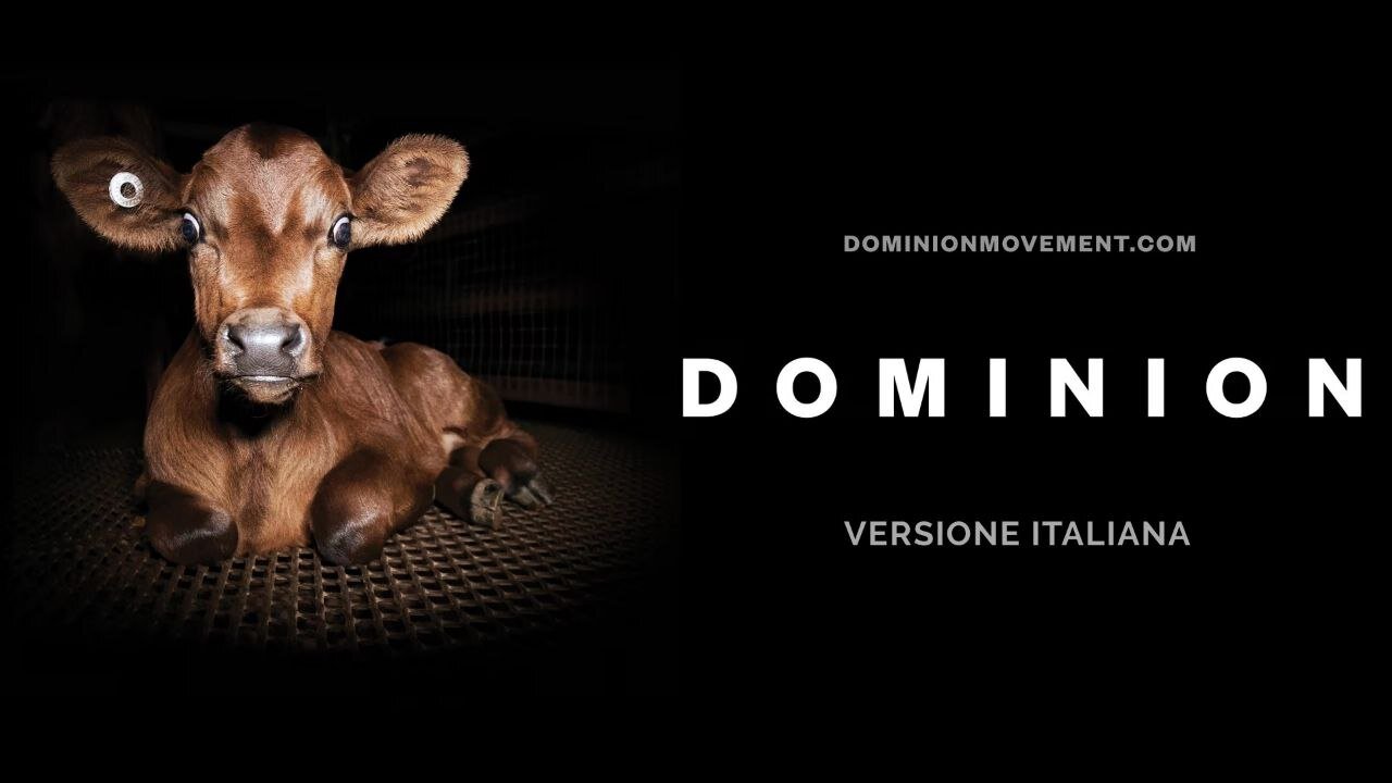 DOMINION di Chris Delforce (2018) (versione italiana)