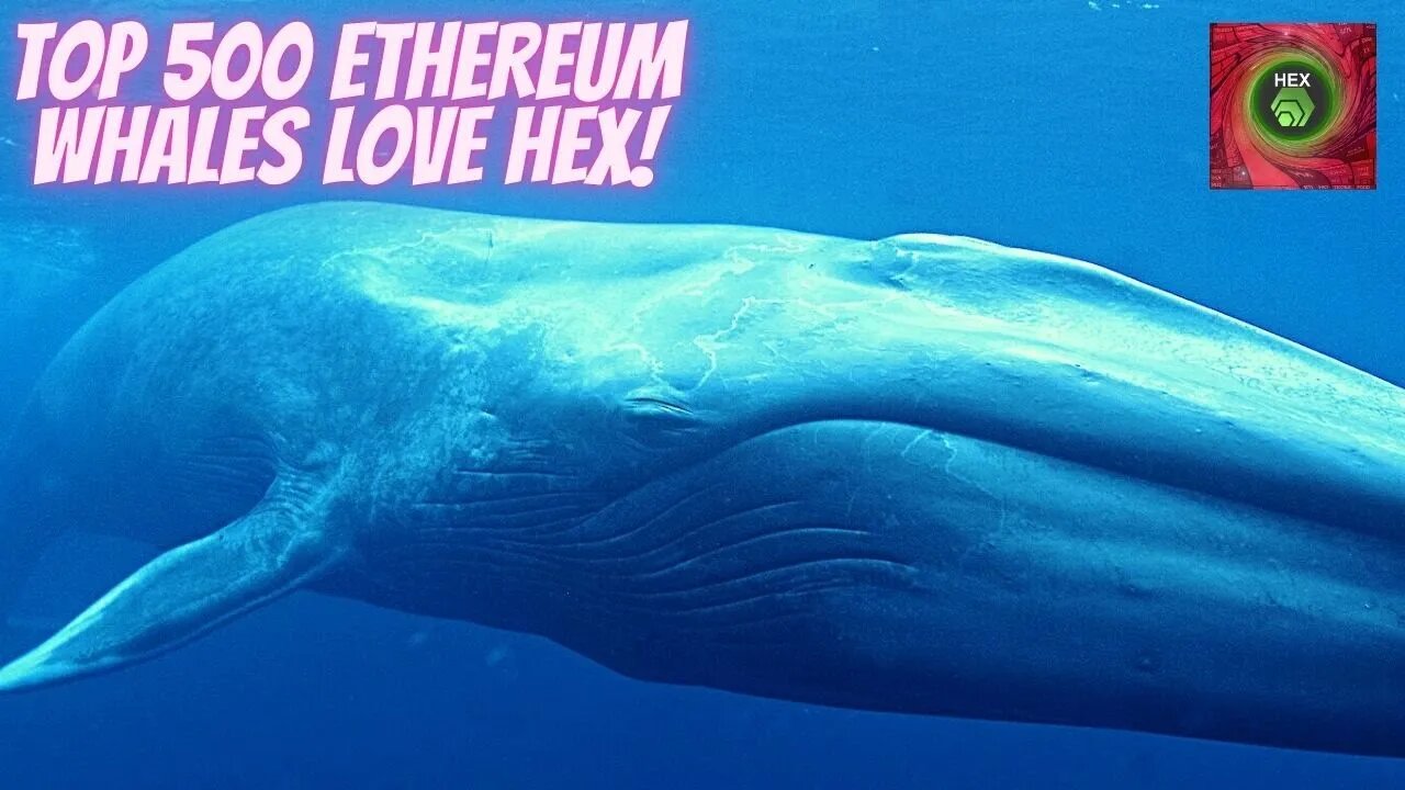 Top 500 ETHEREUM WHALES Love HEX!