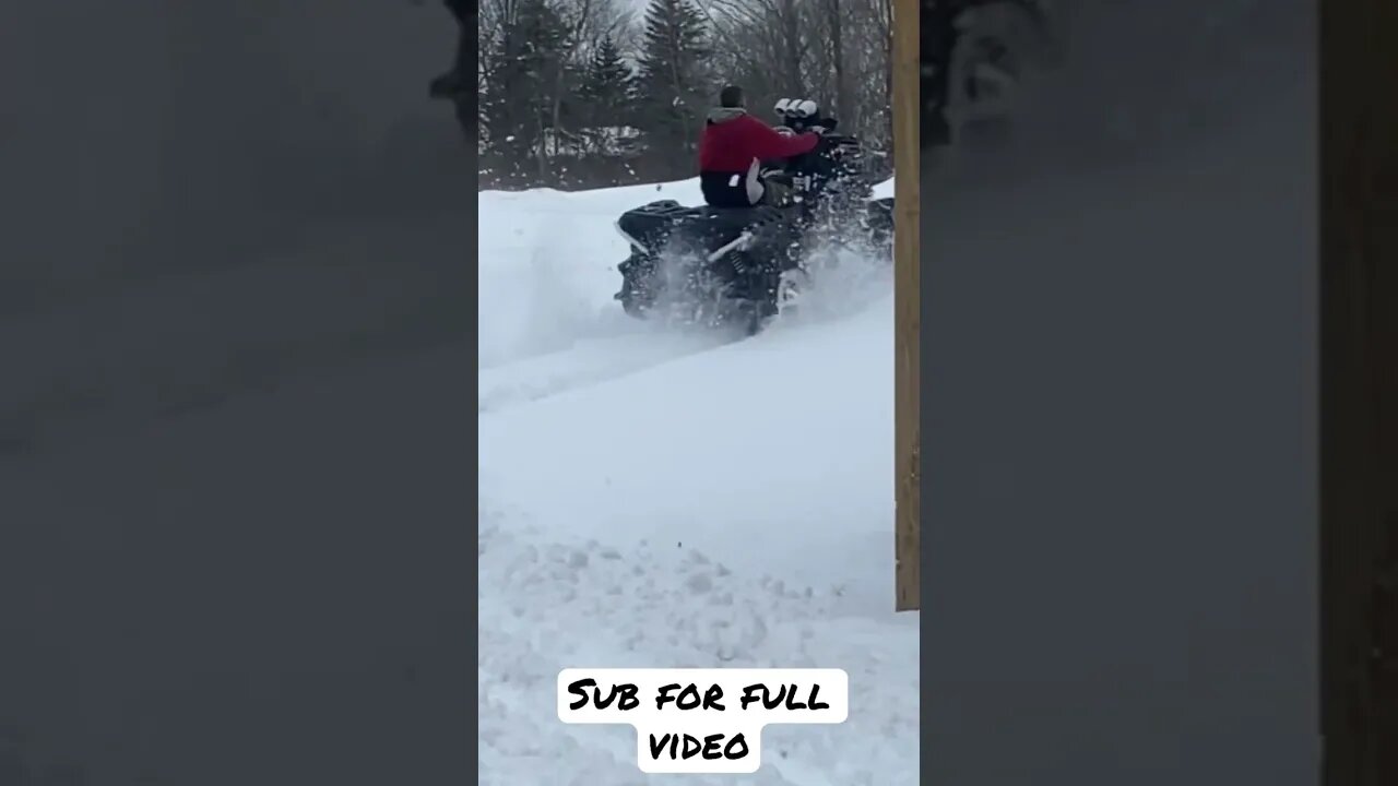 Polaris 1000cc in the snow