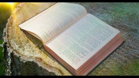 holy bible open sacred book on a natural background forest nature sunset rays of su SBV 347346880 HD