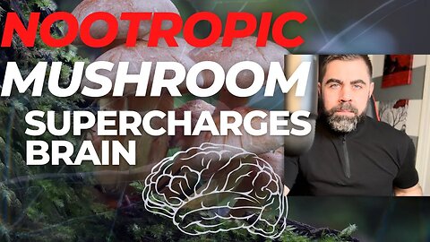 The Best MUSHROOM Nootropic for ENERGY