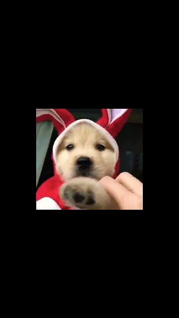 Hello there #shorts #foryou #viral #xyzbca