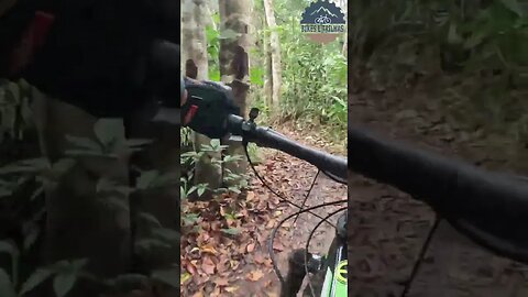 Aquele Downhill da competição - BIKES E TRILHAS #shorts