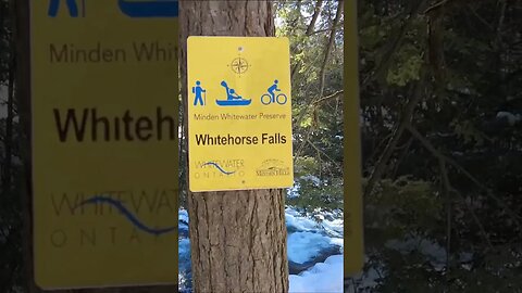 Minden White Water Preserve #shortsvideo #shortsvideo #shorts #short #hiking