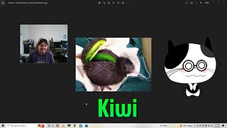 Where Kiwi Comes From And More! 😂
