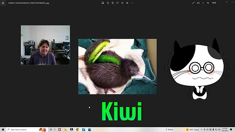 Where Kiwi Comes From And More! 😂