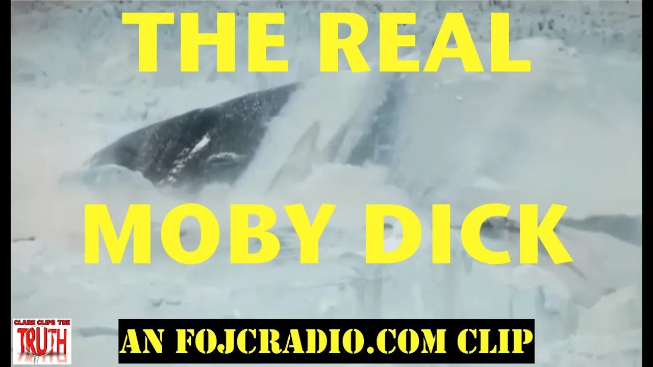 Moby Dick MoNsTeR Whale: Greenland Glaciers | David Carrico | Traci Vinet | #FOJC Radio