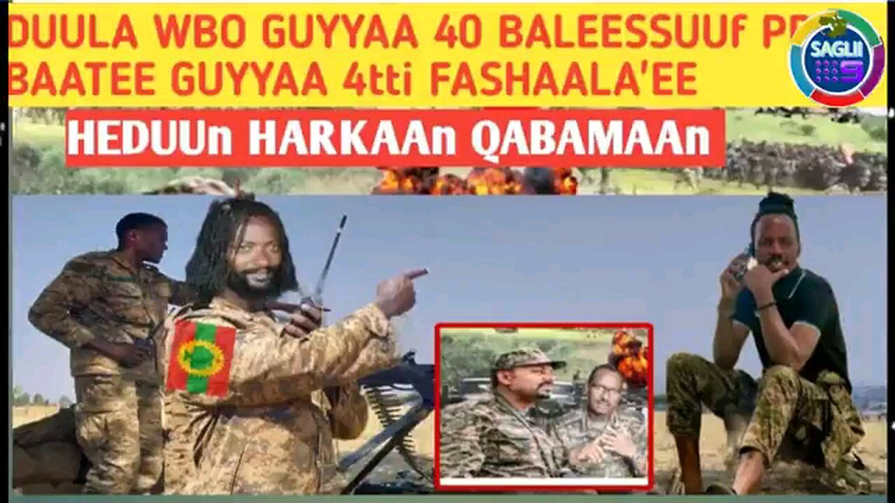 Duula waraana PP WBOn fashaleesseera injifannoo guddaa galmeessee