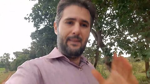 Perícia judicial: Investigação criminal x investigação pericial
