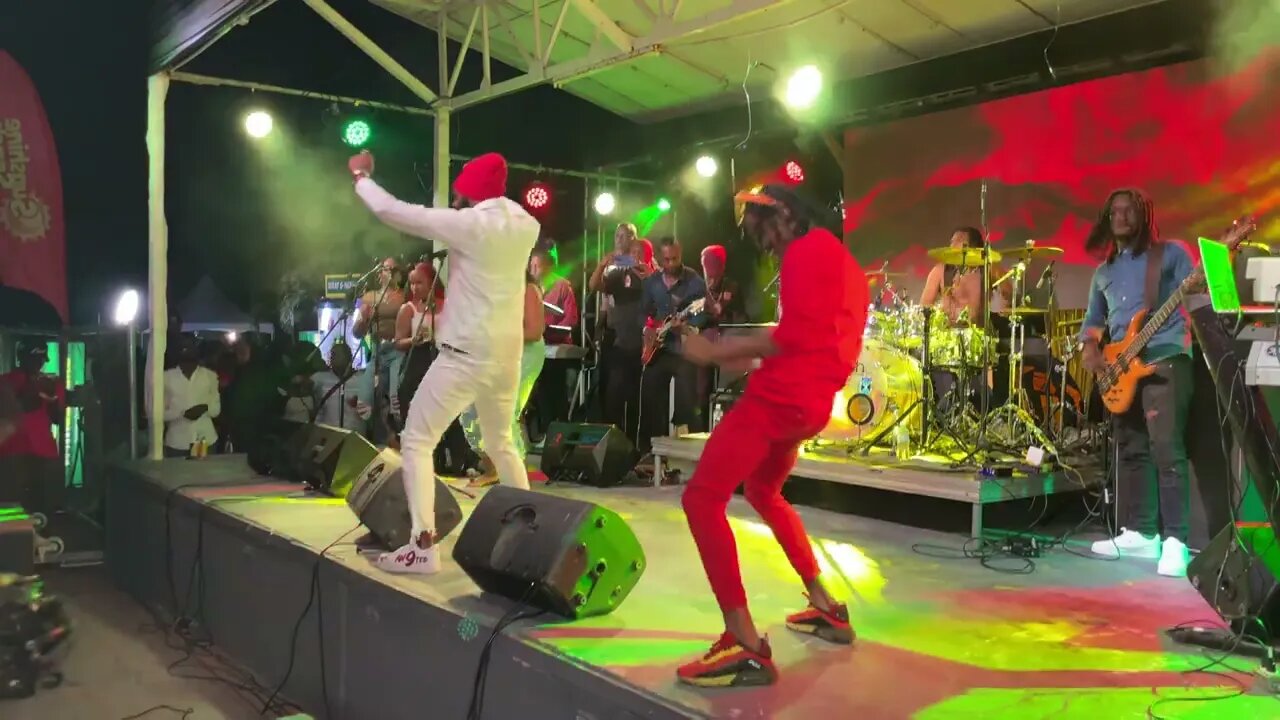 Bugle Stellar Performance Essence Reggae 2023