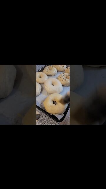 Everything Bagels