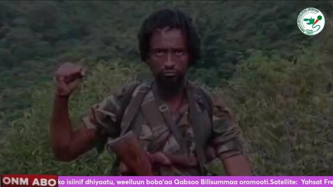 Qophii Humna Weelluu ONM-ABO Ebla 7-2024 itti Dhiyaadhaa!