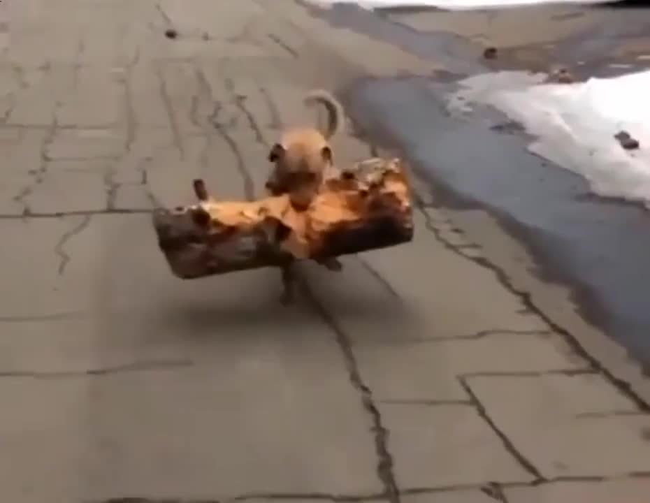 he is so proud of himself