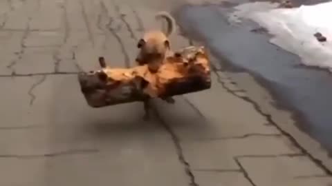 he is so proud of himself