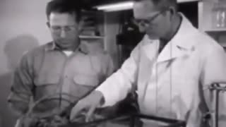 HATS TRUTH - Scientists get bought off just like politicians.