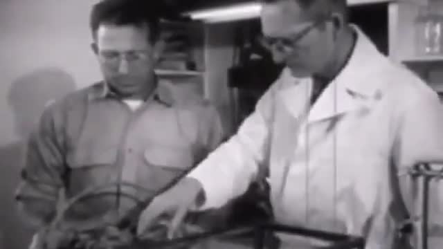 HATS TRUTH - Scientists get bought off just like politicians.