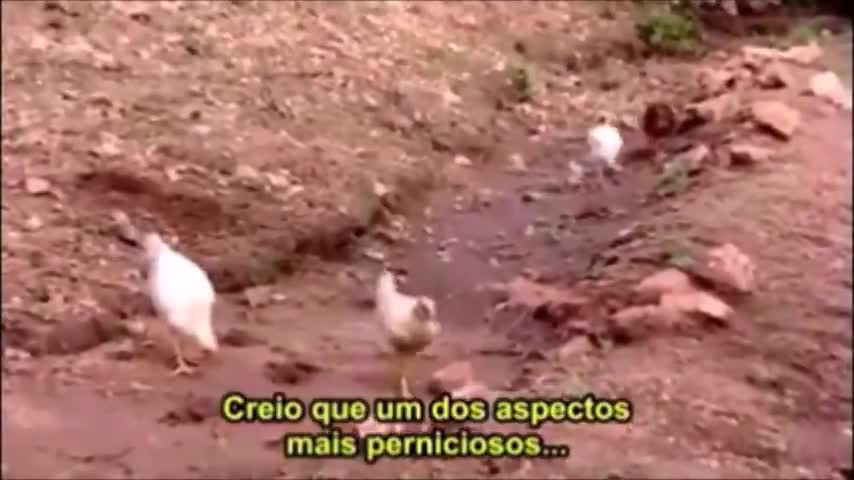 A grande farsa do aquecimento global (documentário - dublado)