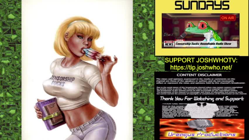 CENSORSHIPSUCKS ROUND TABLE RADIO SHOW 29 JAN 23 raw