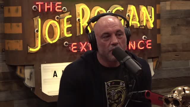 Adam Curry On The DEEP CORRUPTION Of MTV on THE JOE ROGAN EXPERIENCE