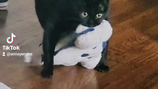 cant go anywhere without his dinosaur buddy even