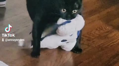 cant go anywhere without his dinosaur buddy even