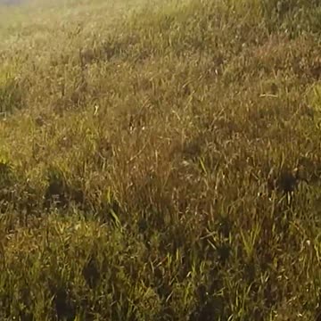 UA "Mich" Team group of the SBU landing in the Snake Island with air support