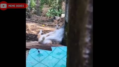 FUNNY VIDEOS TO MAKE LUCKY, RANDOM FOOLS, HOLD LAUGHING 5 MINUTES, 2020 CITIZEN INTAKE RECIEVES