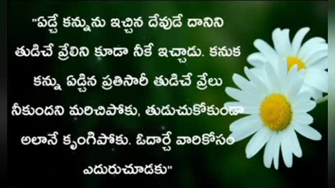 Telugu motivational video జీవిత సత్యాలు మంచి మాటలు