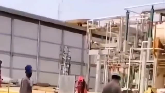 Funny dogs and cats video