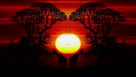 Calm Background Music for Studying