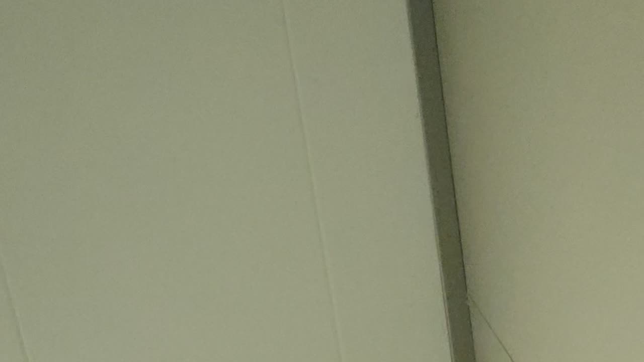 Kryptowaluty hashgard jasnowidz